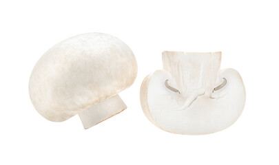 Mushroom champignon isolated on transparent png