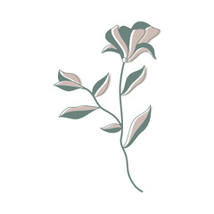 Green Beige Minimalist Beauty Flower 9