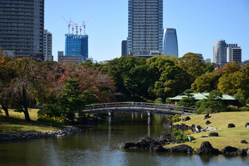 Naklejka premium 美しい景色が広がる浜離宮庭園