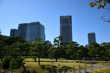 Obraz premium 美しい景色が広がる浜離宮庭園