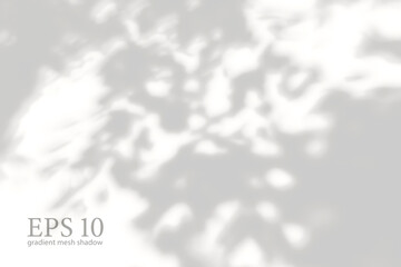Obraz premium Transparent natural plant shadow. Light effect overlay. Mesh grid. Shadows from branches, plant, foliage and leaves on ground. Presentation your design card, poster Photo realistic vector