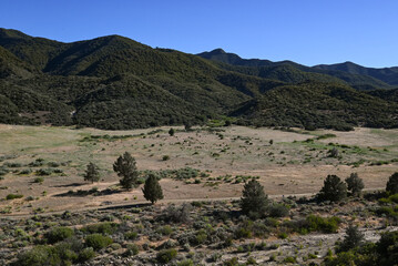 Fototapeta na wymiar Los Padres National Forest, Kern County