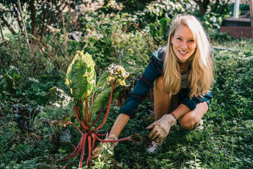 young woman working in her garden growing chard