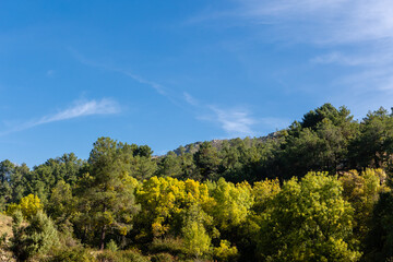 Obraz premium first autumn colors on the banks of the Cofio river in Robledo de Chavela, Madrid