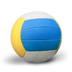 Volleyball Ball