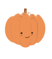 Fototapeta premium The pumpkin with a little twig, smiling emoji, color illustration