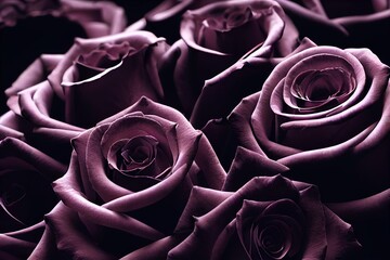 薔薇 花 植物 綺麗 愛 青 紫 黒