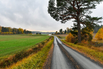 Country landscape with narrow gravel road in autumn