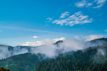 Germany, panorama schwarzwald forest nature landscape baden near freiburg im breisgau in misty...