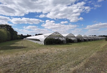 landscape with barn