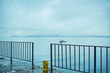 Winter evening on Black sea