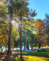 Paysage avec de hauts arbres aux couleurs de l'automne et une fontaine 