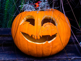 halloween lantern pumpkin