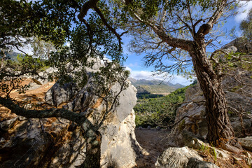 Fototapeta na wymiar S Estalo Pass, walk around Talaia de Cals Reis, Orient valley, Bunyola, Majorca, Balearic Islands, Spain