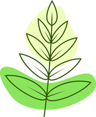 Green Aesthetic Floral (9)