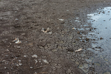 pollution of nature, plastic and rubber in water. environmental disaster