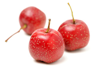 Hawthorn on a white background 