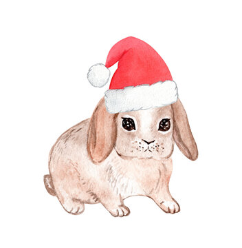 Watercolor cute rabbit in santa hat isolated on white background. Hand drawn christmas brown bunny