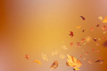 falling autumn leaves background abstract seasonal backdrop october