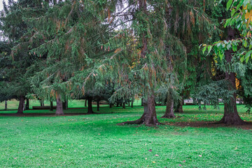 Sotillo Park and Orchard of the Bishop in Palencia. Spain