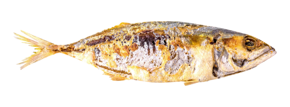 fried mackerel isolated and save as to PNG file