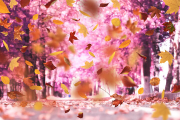 park landscape falling flying yellow leaves autumn background walk calendar