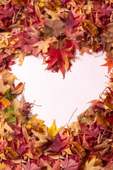 Autumn background, top view of colored heart of leaves isolated on white background