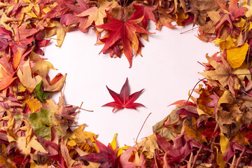 Autumn background, heart with colored leaves, isolated on white background with one red leaf