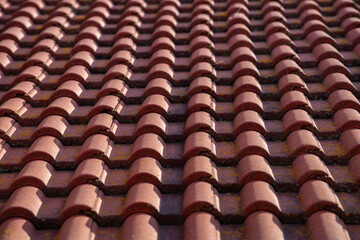Tiles on the rooftop on the north side, visible nitre , saltpetre on the tiles.