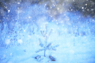 Fototapeta na wymiar christmas tree in winter forest christmas landscape