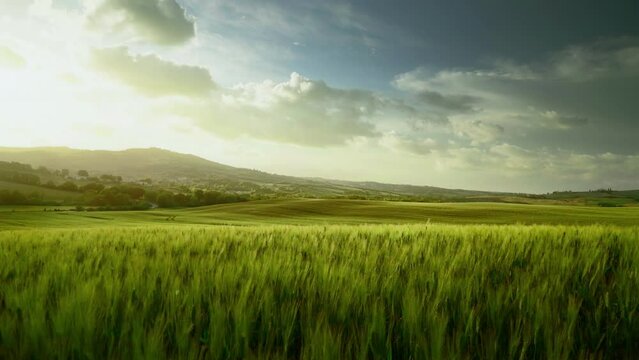 spring sunset in Tuscany, Italy
