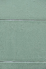 Fototapeta premium Fondo y textura verde