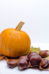 Autumn pumpkin, chestnuts and autumn leaves decor against white background
