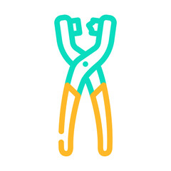 eyelet pliers color icon vector. eyelet pliers sign. isolated symbol illustration