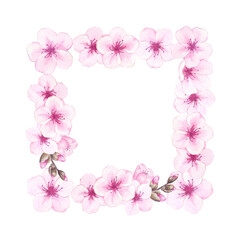 Fototapeta na wymiar Watercolor cherry, almond blossom or sakura. Hand drawn illustration of pink flowers. Floral border for wedding invitation, design, packaging, label. Japanese blooming plant.