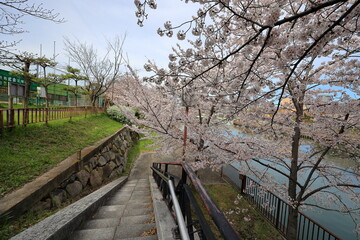 大阪城　大阪　日本
