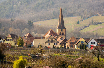 Le clocher vrillé de l'église Saint-Gall, Niedermorschwihr et son vignoble, Alsace, France, Europe