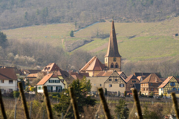 Le clocher tors de l'église Saint-Gall, Niedermorschwihr et son vignoble, Alsace, France, Europe