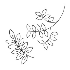 Vector image of a twig with leaves on a white background.