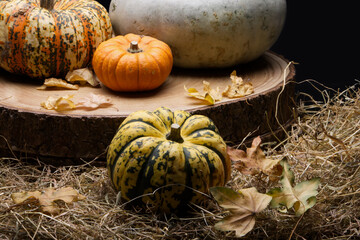 Various coloured pumpkins on straw and wood, with leaves