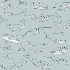 Obraz premium Whale sea animal vector seamless pattern.
