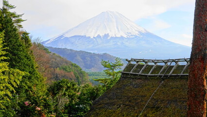 茅葺き屋根の古民家の向こうに見える冠雪の富士山(北側・西湖から臨む)　6933