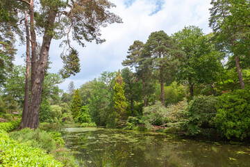 Fototapeta na wymiar Lake at Leonardslee Gardens, West Sussex, England, UK