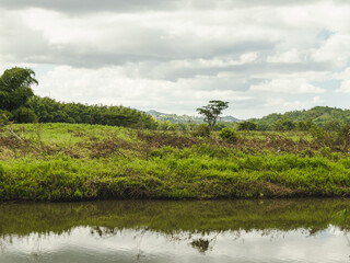 Milicia excelsa landscape isolated with water reflection on cloudy day with sun light from puerto rico