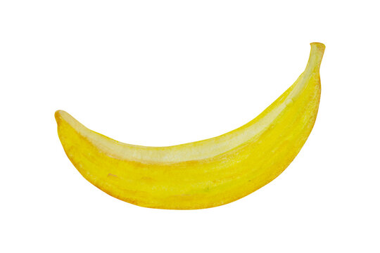 Banana painted in watercolor isolated on a white background.