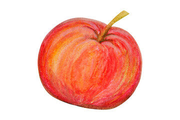Red apple painted in watercolor isolated on a white background.