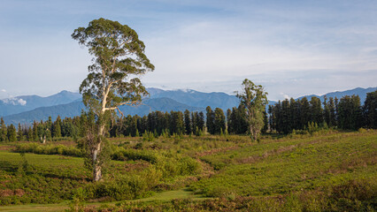 Fresh green plateau in front of hill under sky.