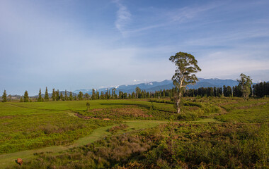 Fresh green plateau in front of hill under sky.