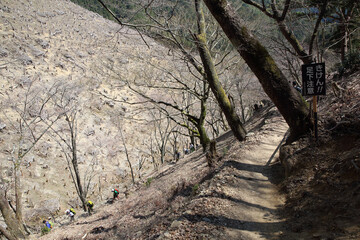 吉野山の登山道