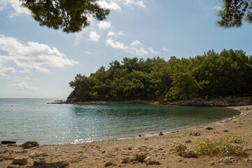 A bay with clear blue water, green trees and beach